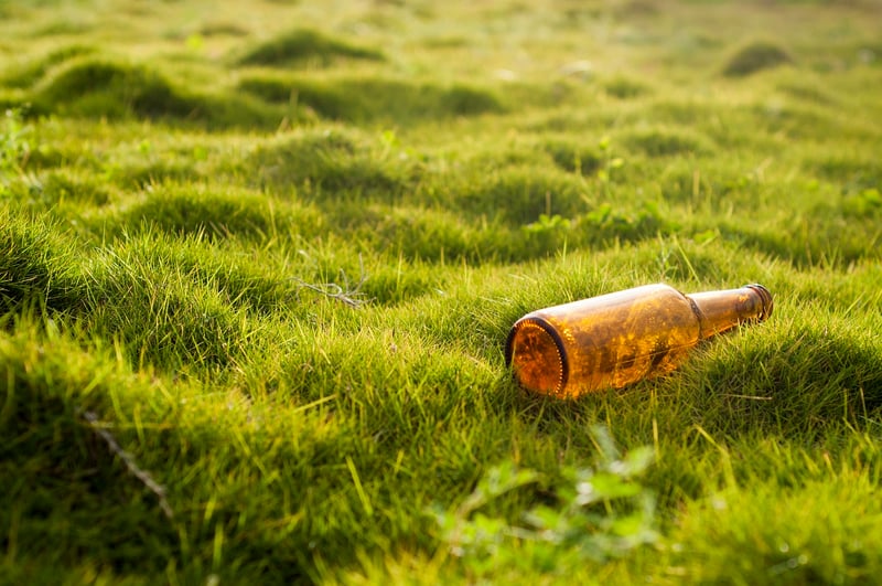 Sustainable Business Case Study